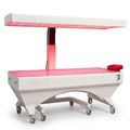 Red Light Therapy Bed Engineered for Full-Body Treatment, Medical-Grade LEDs, Height-Adjustable Canopy, Professional Results